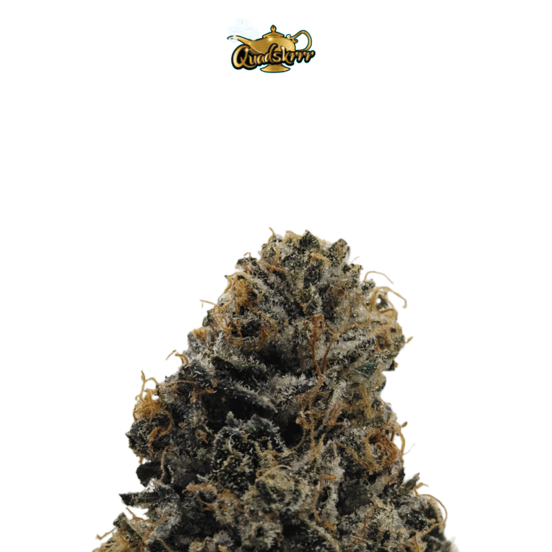 DEATH BUBBA BY LIVING SOLI COLLECTIVE *BEST VALUE* - Image 3