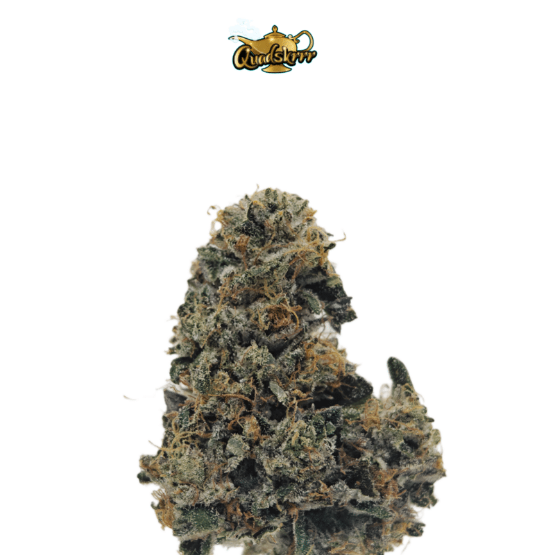 DEATH BUBBA BY LIVING SOLI COLLECTIVE *BEST VALUE* - Image 2