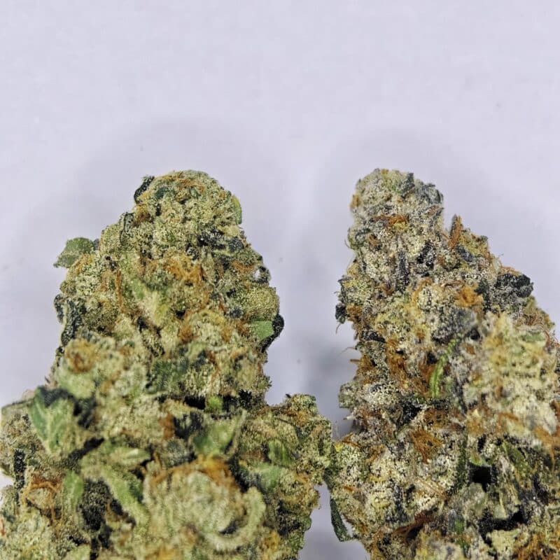 SOUR THE BEST SHIT (78' Old Shcool Affie x Sage) BY LIVING SOLI COLLECTIVE *BEST VALUE* - Image 2