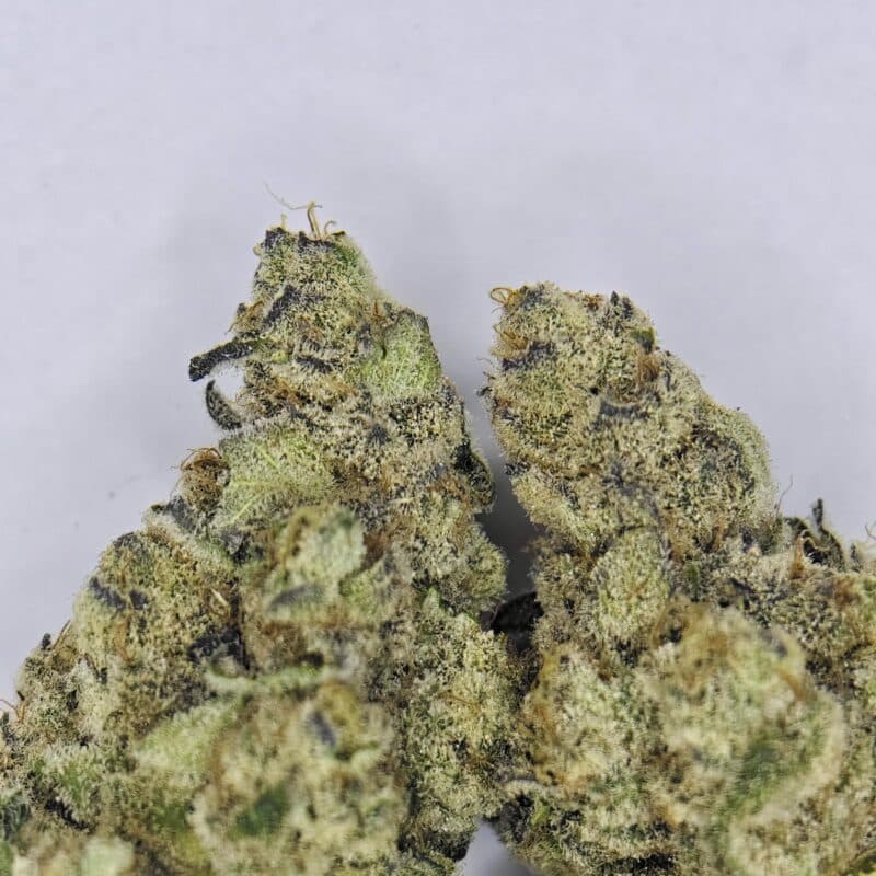 BLACK MILK (Black Cherry Punch x Jelly Breath BX1) BY LIVING SOLI COLLECTIVE *BEST VALUE* - Image 2