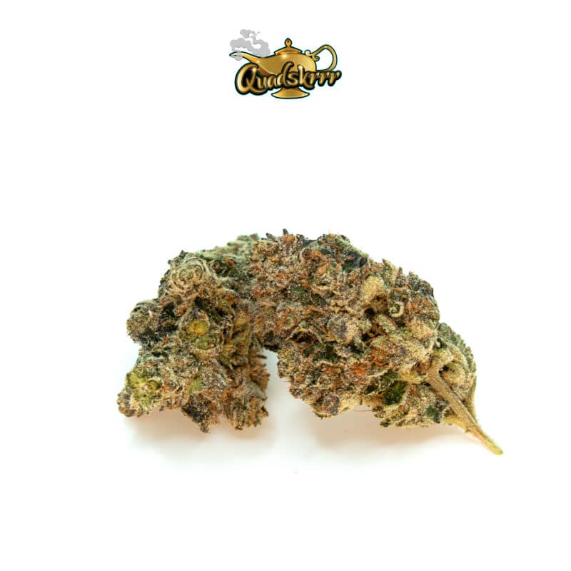 BLACK DEATH BUBBA BY NALA FARM *VALUE GAS* - Image 2