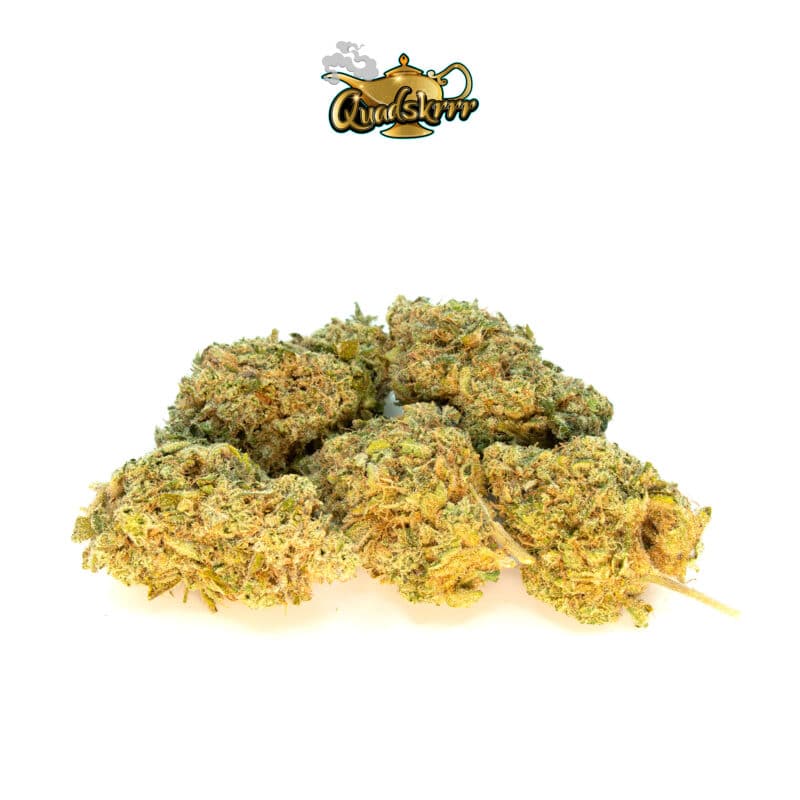 i95 ( INDICA ) AAAA BY GASGODZ *STICKYY* - Image 3